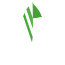Mongodb Mongodb