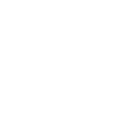 wordpress wordpress